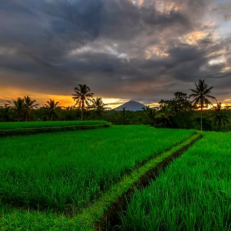 Kawi Resort A Pramana Experience Теґалаланґ Екстер'єр фото