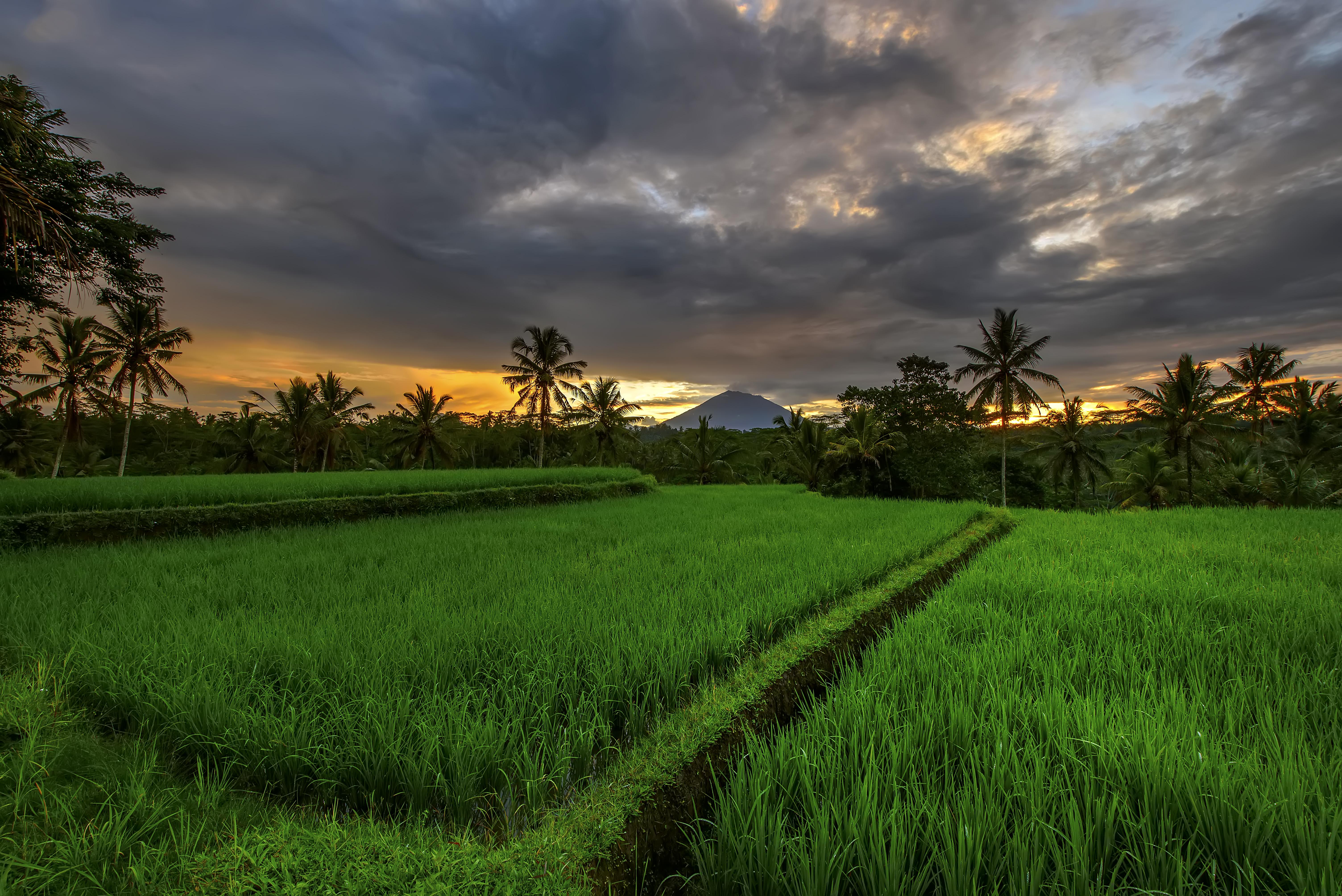 Kawi Resort A Pramana Experience Теґалаланґ Екстер'єр фото