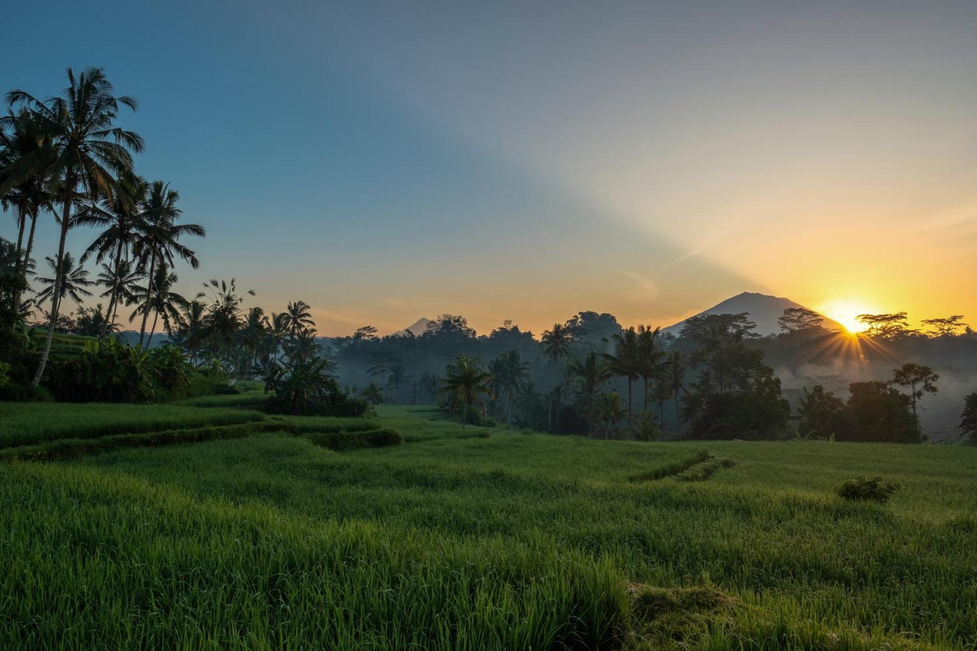 Kawi Resort A Pramana Experience Теґалаланґ Екстер'єр фото